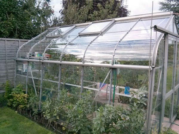 Clear Acrylic Greenhouse Panel 610mm x 457mm (24 x 18″)