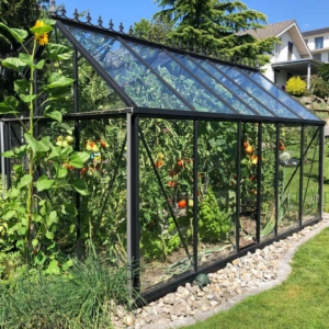 Clear Acrylic Greenhouse Panel 1422mm x 730mm (56 x 28.75")